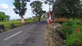 Tanah tepi jalan raya Delanggu - Juwiring tepatnya di Utara Simpang Tiga Bagor, Juwiring longso akibat talut penahan tanah ambrol. Dok. Pribadi.