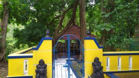 Punden di Hutan Jati Donoloyo, yang diyakini masyarakat sebagai tunggak kayu jati yang dibawa oleh Wali Songo untuk pembangunan Masjid Agung Demak.(Dok.Pribadi).