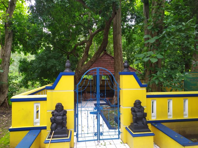 
 Punden di Hutan Jati Donoloyo, yang diyakini masyarakat sebagai tunggak kayu jati yang dibawa oleh Wali Songo untuk pembangunan Masjid Agung Demak.(Dok.Pribadi).